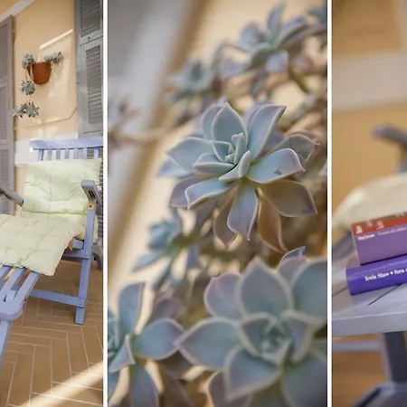 Beau Sejour 3* 알라시오