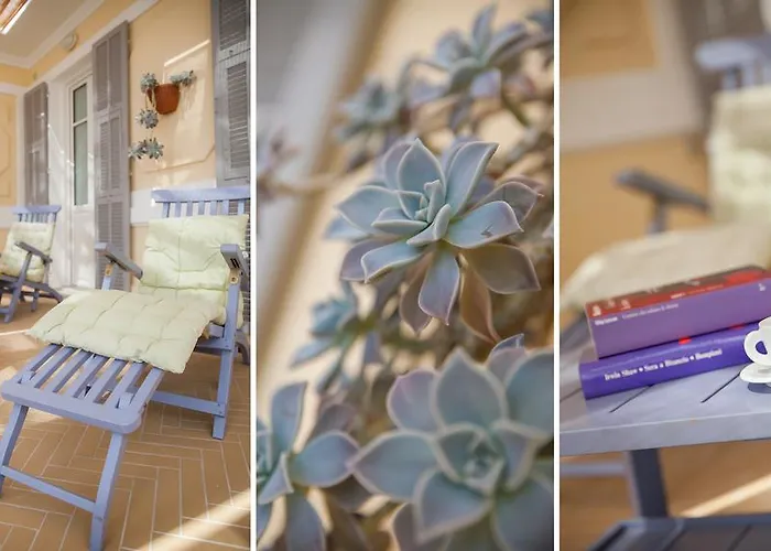 布席雷乌酒店 3* 阿拉西奥