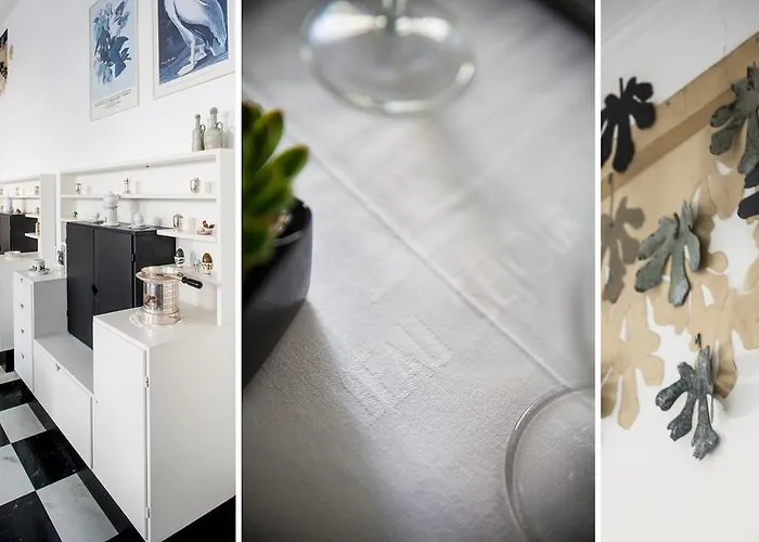 酒店 布席雷乌酒店 3*